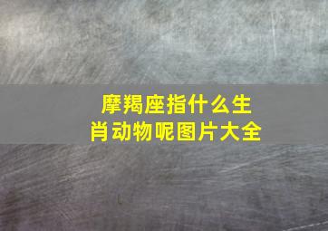 摩羯座指什么生肖动物呢图片大全