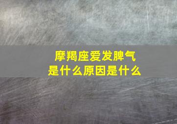 摩羯座爱发脾气是什么原因是什么