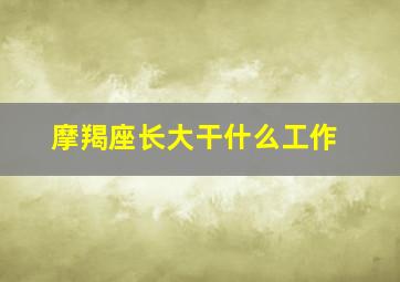 摩羯座长大干什么工作