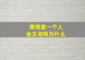 摩羯爱一个人会主动吗为什么