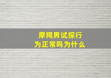 摩羯男试探行为正常吗为什么