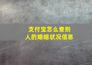 支付宝怎么查别人的婚姻状况信息