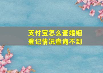 支付宝怎么查婚姻登记情况查询不到