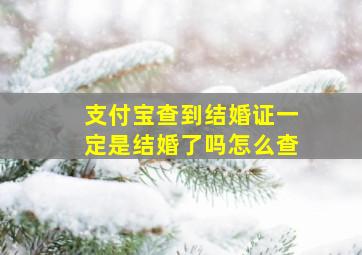 支付宝查到结婚证一定是结婚了吗怎么查