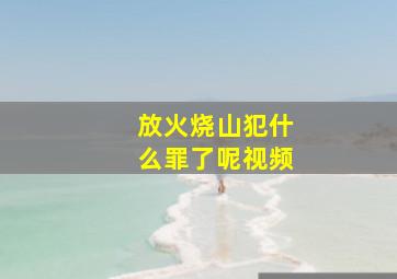 放火烧山犯什么罪了呢视频