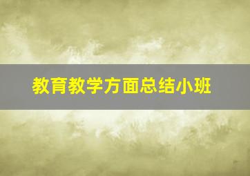 教育教学方面总结小班