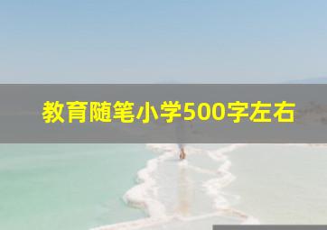 教育随笔小学500字左右