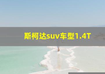 斯柯达suv车型1.4T