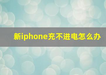 新iphone充不进电怎么办