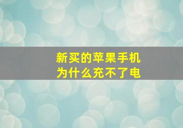 新买的苹果手机为什么充不了电