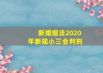 新婚姻法2020年新规小三会判刑