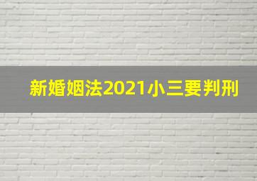 新婚姻法2021小三要判刑