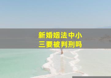 新婚姻法中小三要被判刑吗