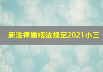 新法律婚姻法规定2021小三