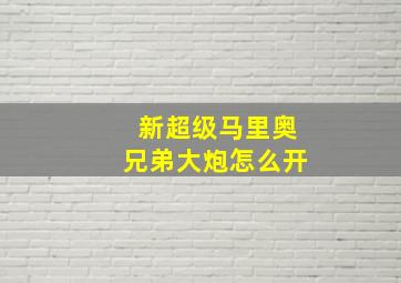 新超级马里奥兄弟大炮怎么开