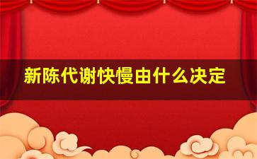 新陈代谢快慢由什么决定