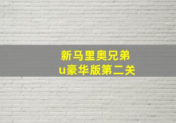 新马里奥兄弟u豪华版第二关