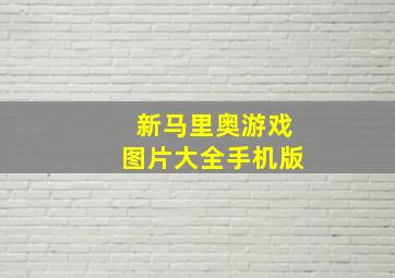 新马里奥游戏图片大全手机版