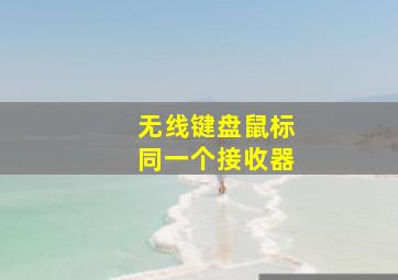 无线键盘鼠标同一个接收器