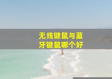 无线键鼠与蓝牙键鼠哪个好