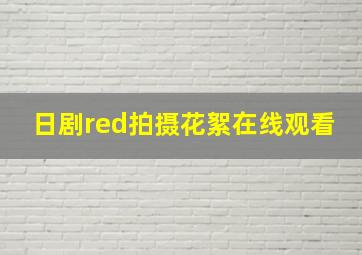 日剧red拍摄花絮在线观看