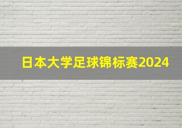 日本大学足球锦标赛2024