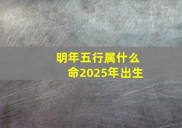 明年五行属什么命2025年出生