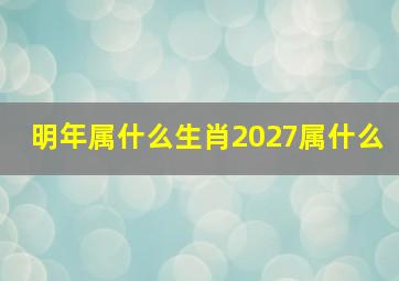 明年属什么生肖2027属什么