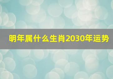 明年属什么生肖2030年运势