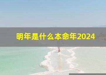 明年是什么本命年2024