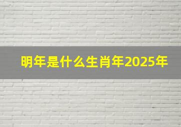 明年是什么生肖年2025年