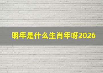 明年是什么生肖年呀2026