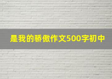 是我的骄傲作文500字初中