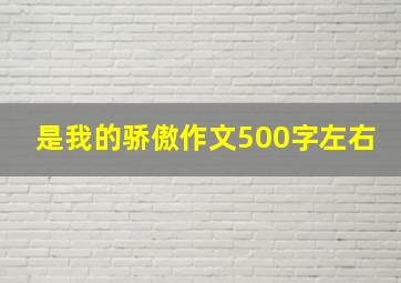 是我的骄傲作文500字左右