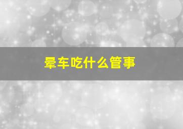 晕车吃什么管事