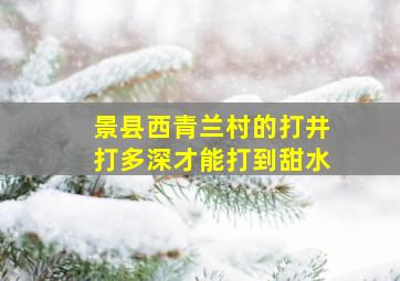 景县西青兰村的打井打多深才能打到甜水