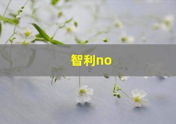 智利no