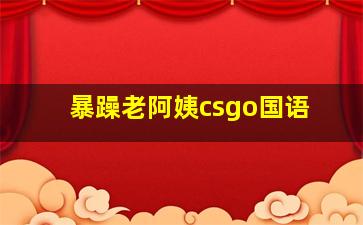 暴躁老阿姨csgo国语