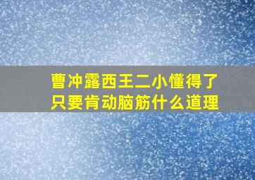 曹冲露西王二小懂得了只要肯动脑筋什么道理