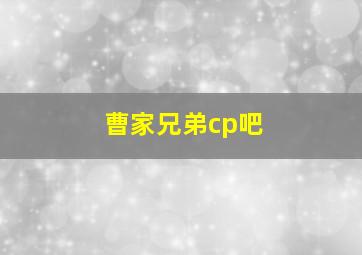 曹家兄弟cp吧