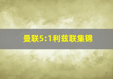 曼联5:1利兹联集锦