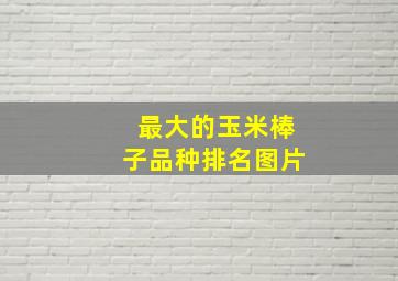 最大的玉米棒子品种排名图片