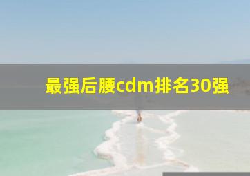 最强后腰cdm排名30强