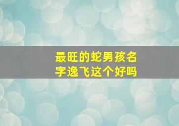 最旺的蛇男孩名字逸飞这个好吗