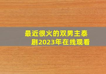 最近很火的双男主泰剧2023年在线观看