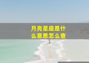 月亮星座是什么意思怎么查