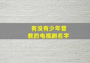 有没有少年管教的电视剧名字