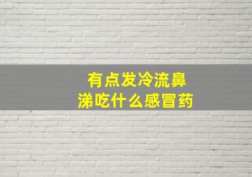 有点发冷流鼻涕吃什么感冒药