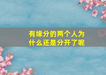 有缘分的两个人为什么还是分开了呢