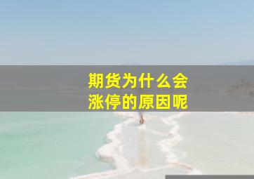 期货为什么会涨停的原因呢